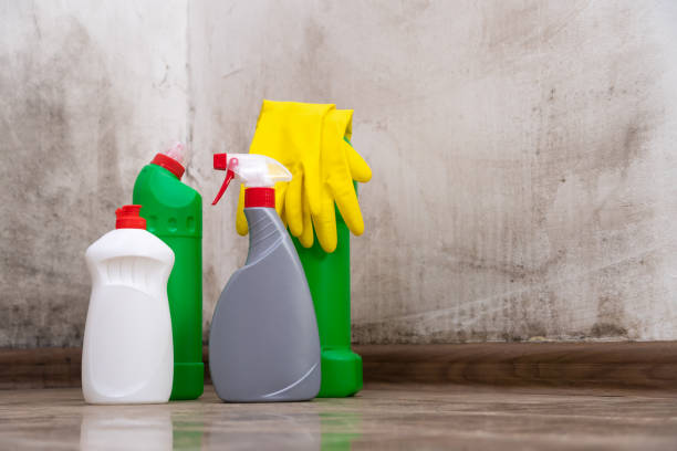 Professional Mold Prevention & Removal  in New River, AZ